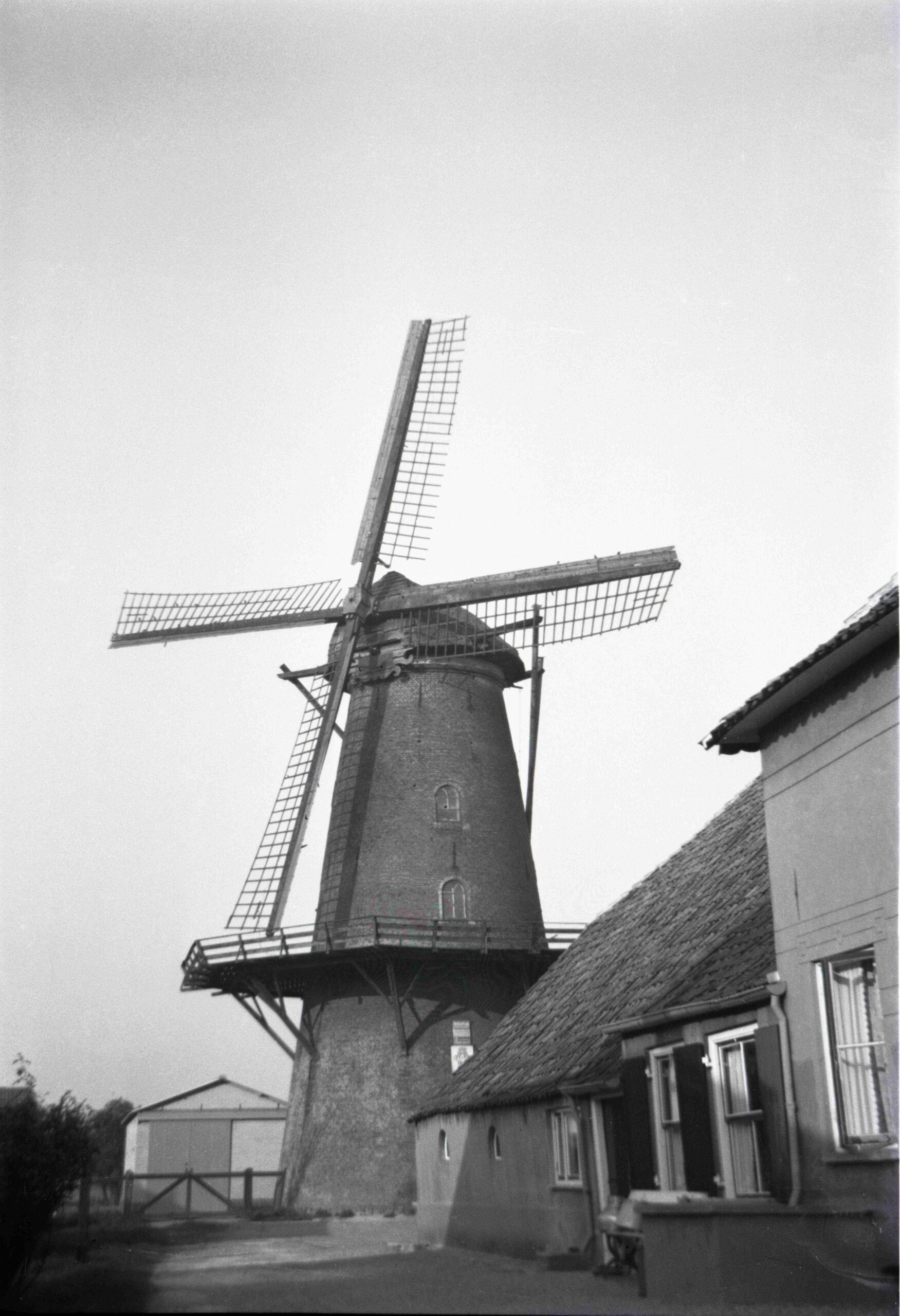 Molen De Hoop in Lienden in betere tijden, met draaiende wieken